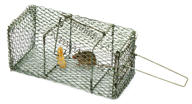 Trap and Release Mouse Cage Trap and Release Mouse
