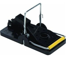 Very popular Snap-E Mouse Trap The plastic snap trap