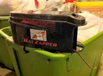 Electronic rat zapper