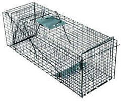 Gopher cage trap