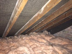 Loft insulation good nesting  material