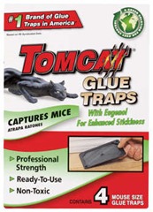 Tomcat glue trap
