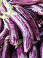 Eggplants A bundle of striped eggplants