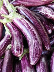 A bundle of striped eggplants