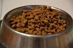 Food fro Skunks Skunks favorite bait