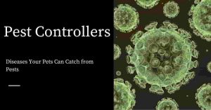 Diseases Your Pets Can Catch