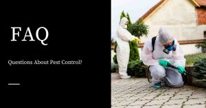 Pest Control