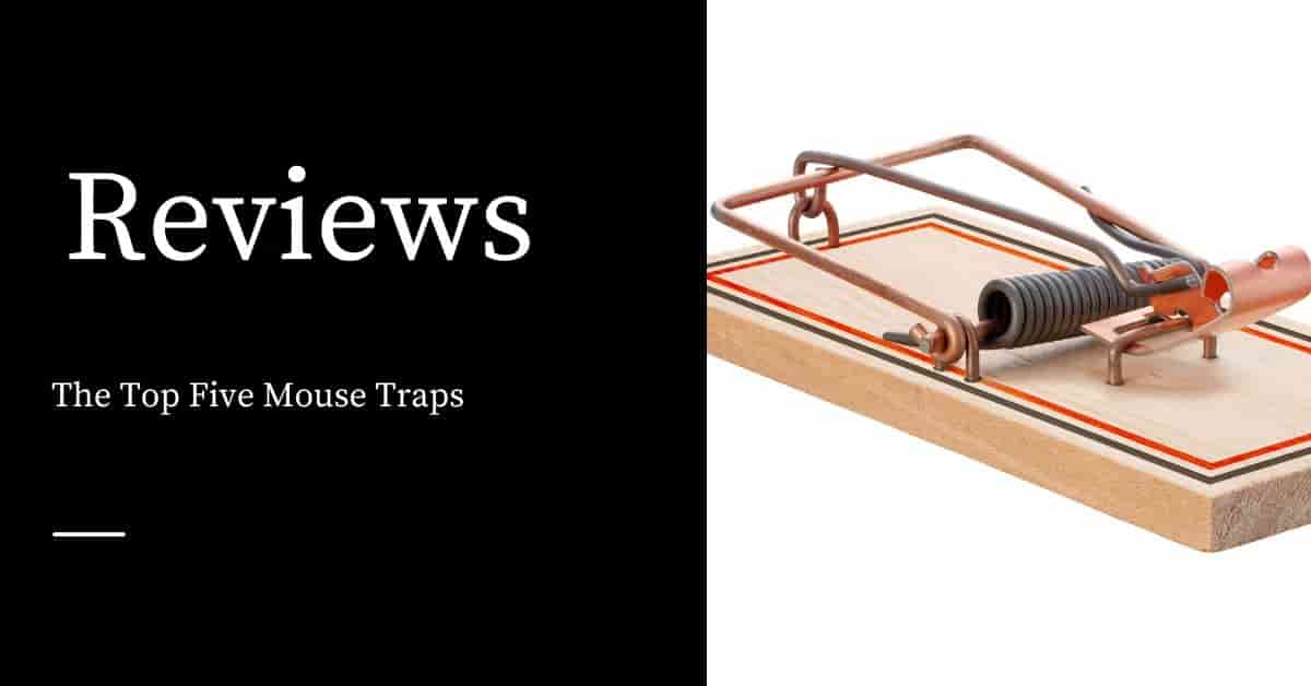 https://www.pest-control-products.net/wp-content/uploads/2020/06/The-Top-Five-Mouse-Traps-min.jpg