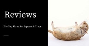 Rat Zappers