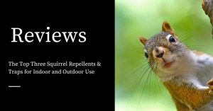 Squirrel Repellents